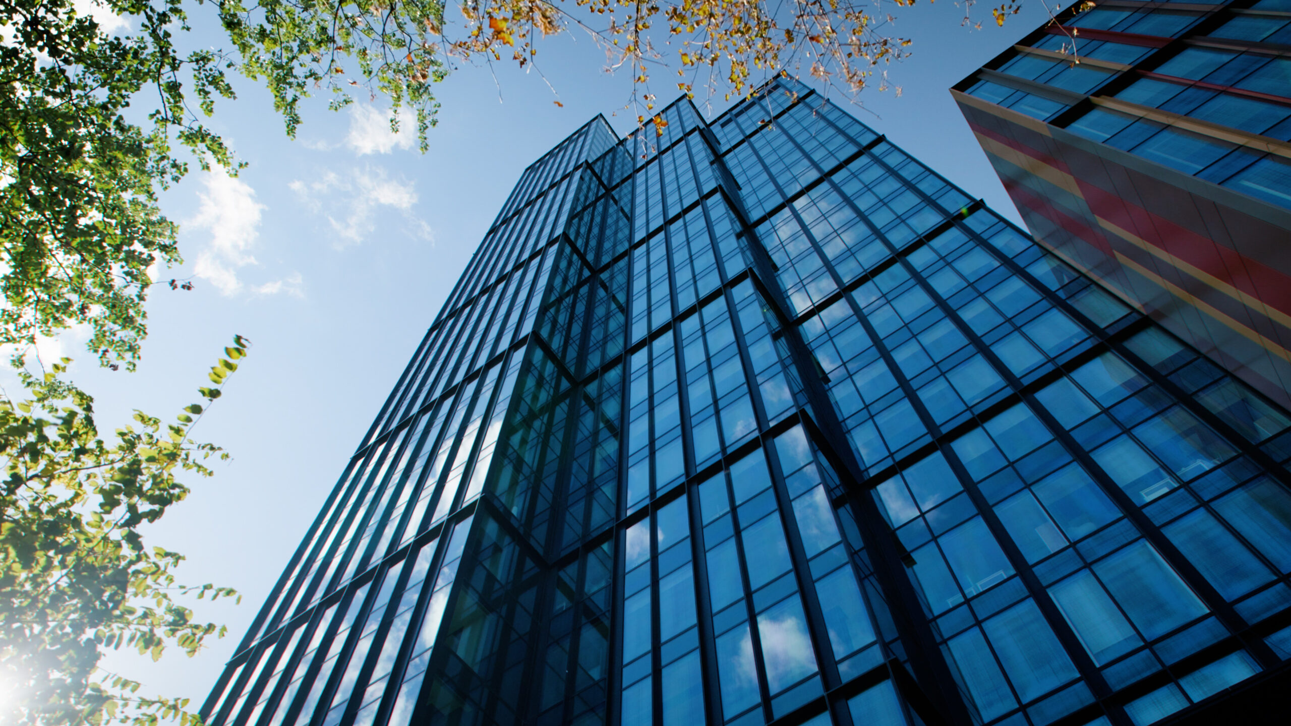 filmowanie biznesowe